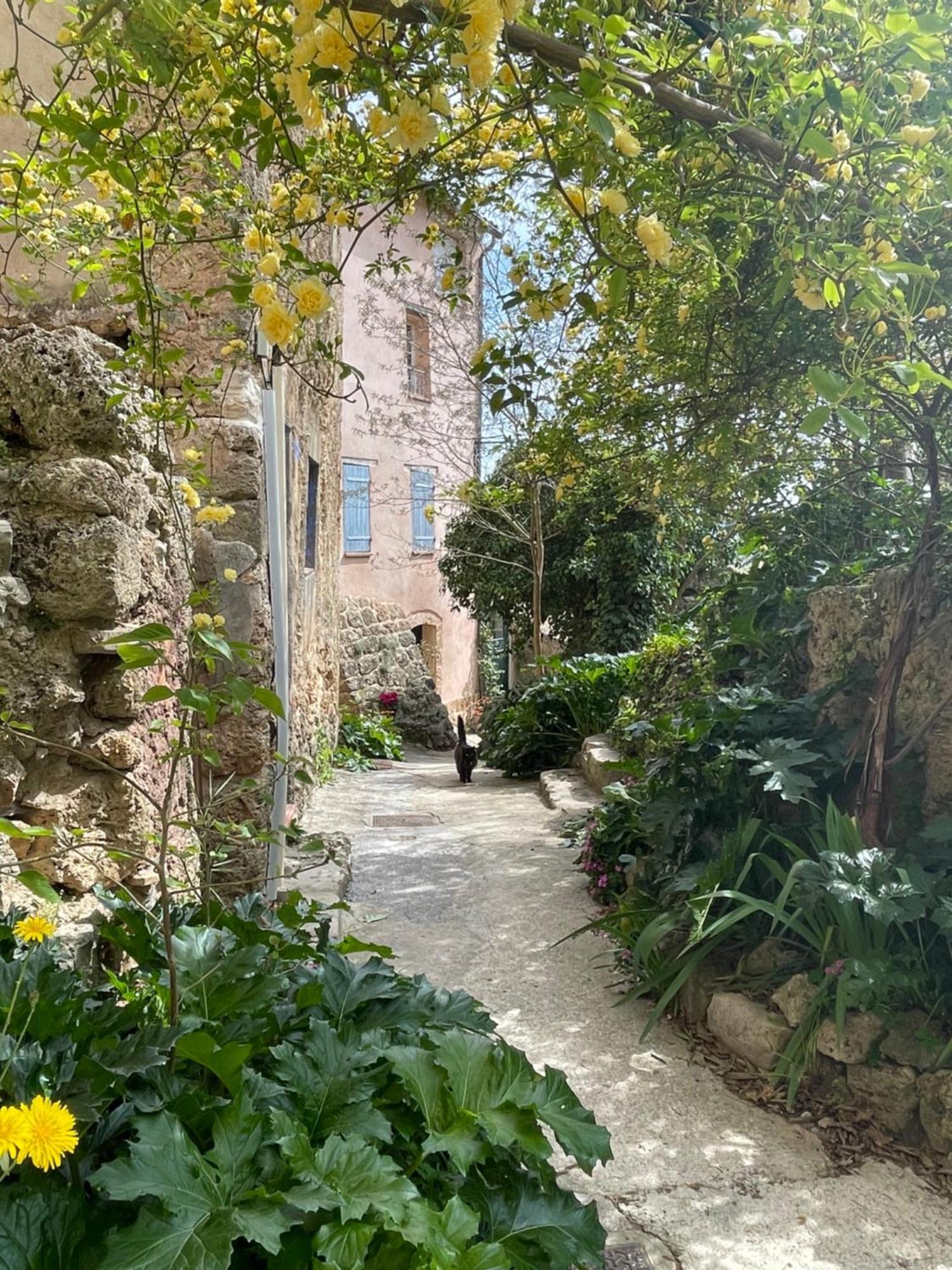 Cosy & Chill Appartements - Au Coeur Du Village De Cotignac, En Provence Экстерьер фото